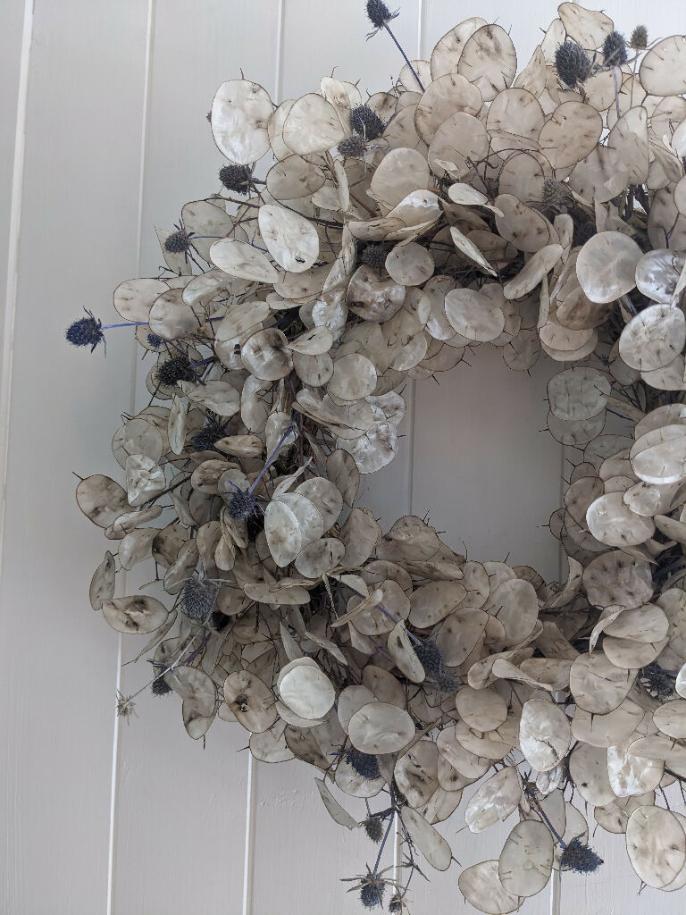 Lunaria Wreath with a Hint of Blue Thistle