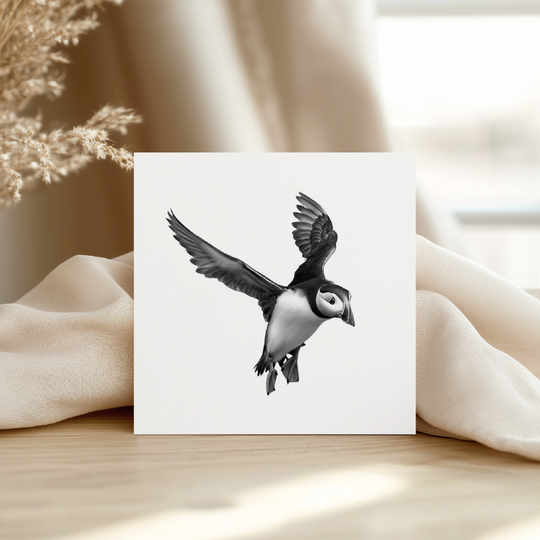 Landing Puffin Greeting Card