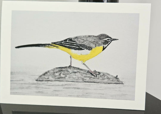 Grey Wagtail greetings card, A6 size