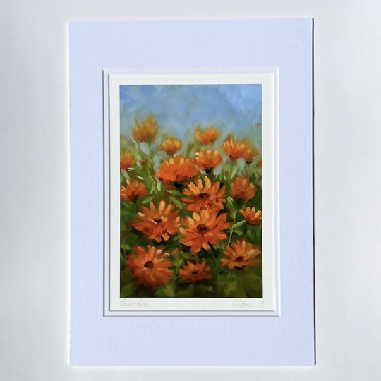 Calendula Fine Art Print