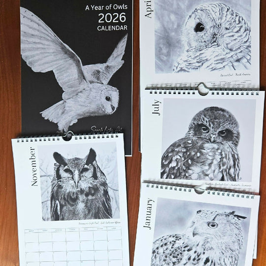 2026 Owl Calendar, A4 size in black and white