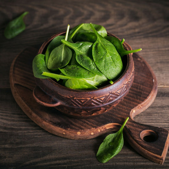 Spinach Plants, 'Renegade', 12 x Full Plant Pack