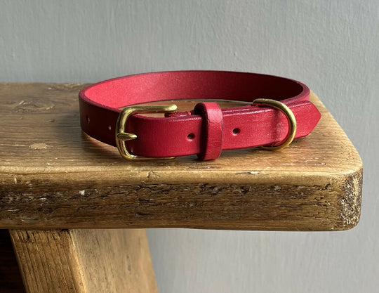 Leather Dog Collar in Red
