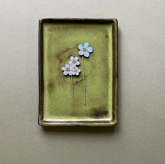 Forget Me Not Plant Pot Companions