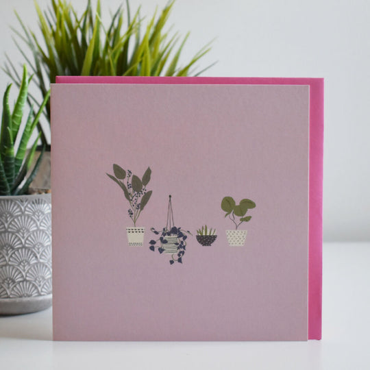 Plants in Pots Greeting Card in Pink