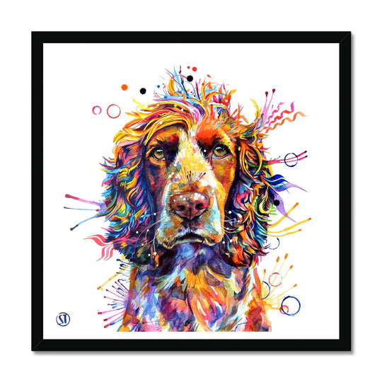 Jarvis the Cocker Spaniel Framed Print