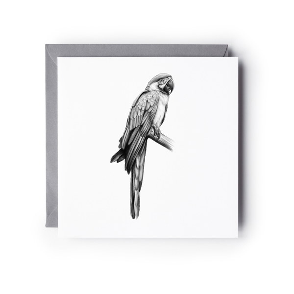 The Parrot Hand-Drawn Greeting Card – Exotic Wildlife Illustration