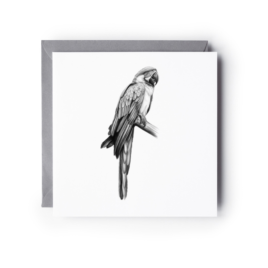 The Parrot Hand-Drawn Greeting Card – Exotic Wildlife Illustration