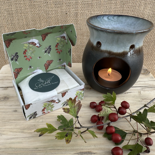 Lavender and Lemongrass Wax Melts