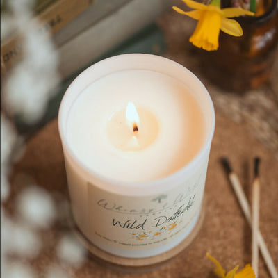 Wild Daffodil - Scented Soy Candle