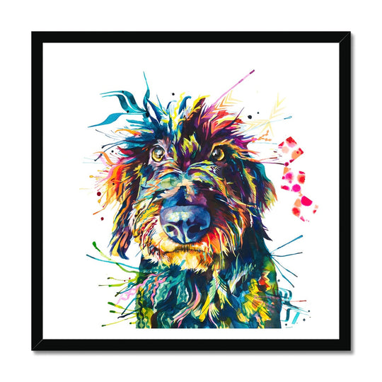 Eddie the Wirehaired Dachshund Framed Print