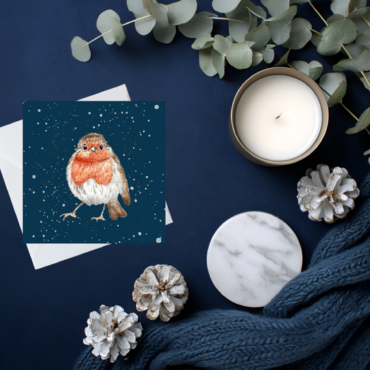 Robin Red Breast Greeting Cards