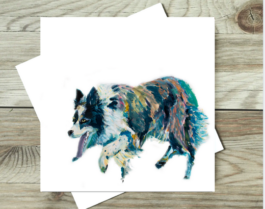Border Collie Card Birthday or Blank