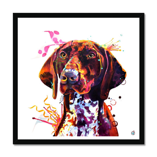 Lola the German Pointer Framed Print