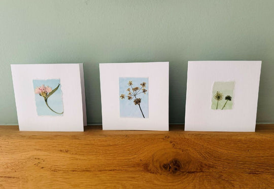Set of 3 handmade real pressed flower cards
