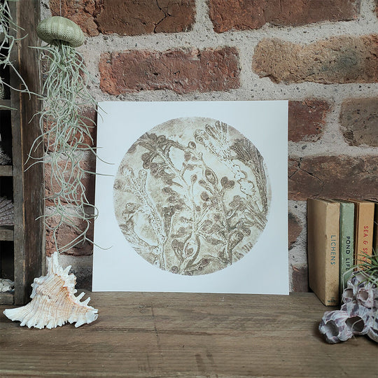 Nude Circular Seaweed Knotted Wrack and Channelled Wrack Gelli Print