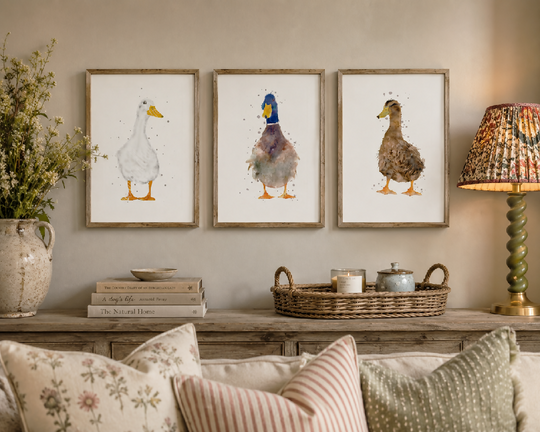 Trio Of Watercolour Duck Prints
