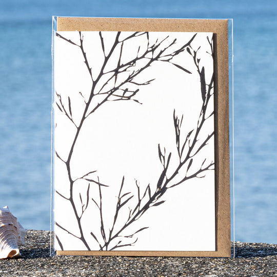 Seaweed Greeting Card - Sea Oak (Abstract)