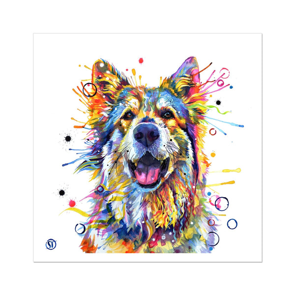 Teddy the German Shepherd Fine Art Print