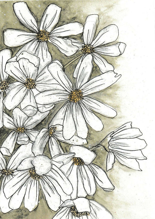 Cosmos Watercolour Wild Flower Print with Mount, A5 Print, Designed in the UK