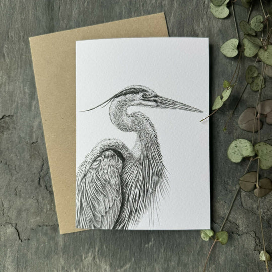 Heron Portrait Blank Greetings Card