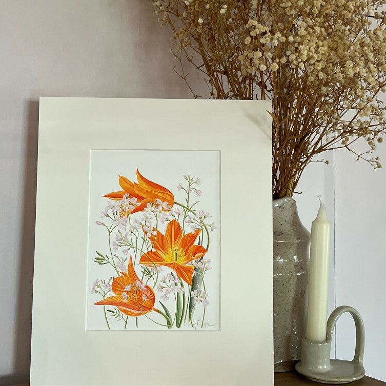 Cuckoo flower, Tulip Ballerina Print