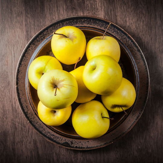 Apple Trees, 'Golden Delicious', Full Plants in 10 Litre Pots