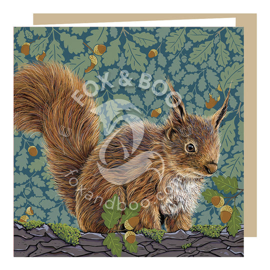 Red Squirrel Greeting Card