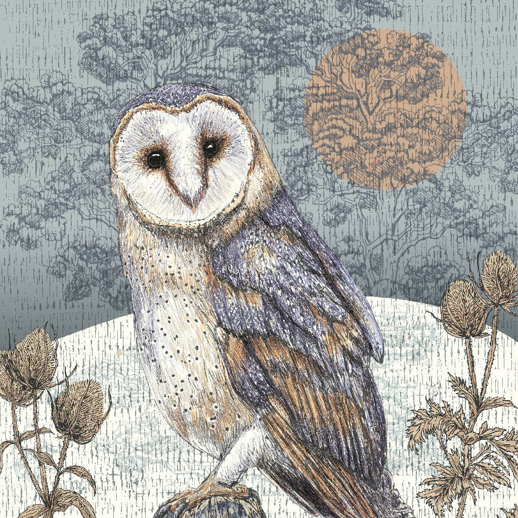 HBD03615 Winter Barn Owl giclee