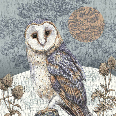 HBD03615 Winter Barn Owl giclee