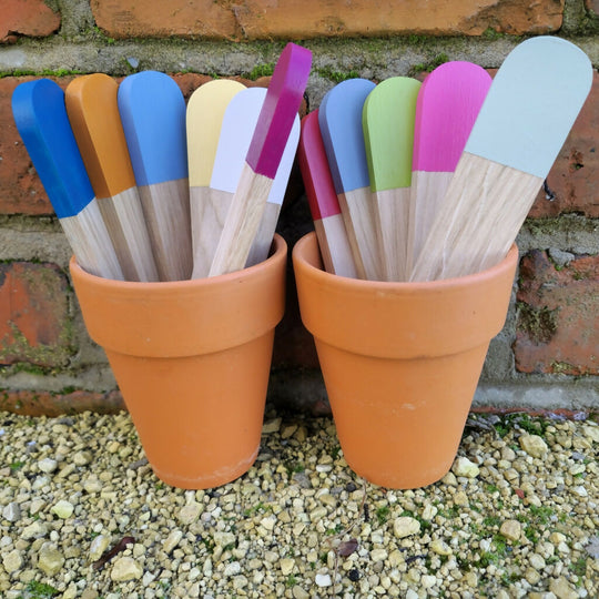 Painted Garden Label/Marker