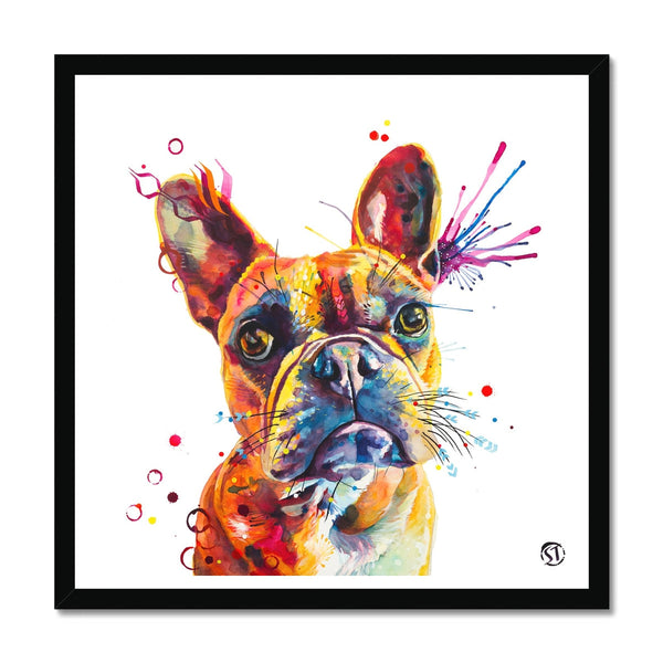 Stella the Frenchie (French Bulldog) Framed Print