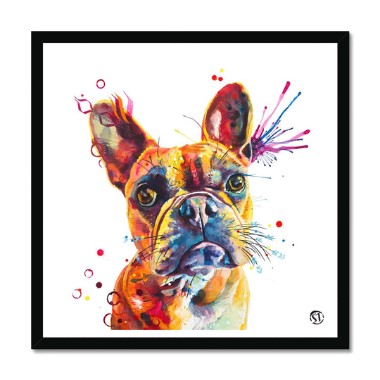 Stella the Frenchie (French Bulldog) Framed Print