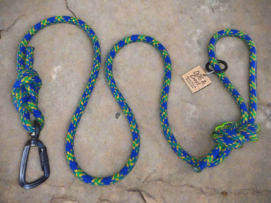 Climbing Rope Lead - Blue & Green