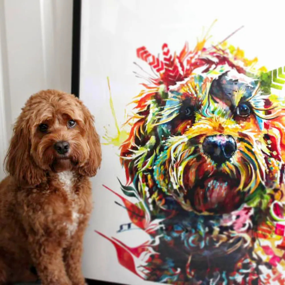 Barney the Cockapoo Framed Print | Sarah Taylor Art – Country Living ...