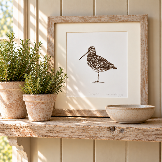 Snipe White -Signed and mounted Giclée Art Print