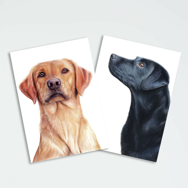 Labrador - Greeting Cards