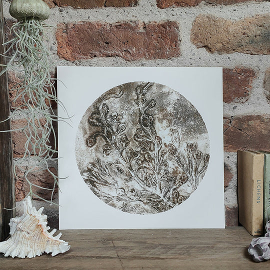 Brown Circular Seaweed Knotted Wrack and Channelled Wrack Gelli Print