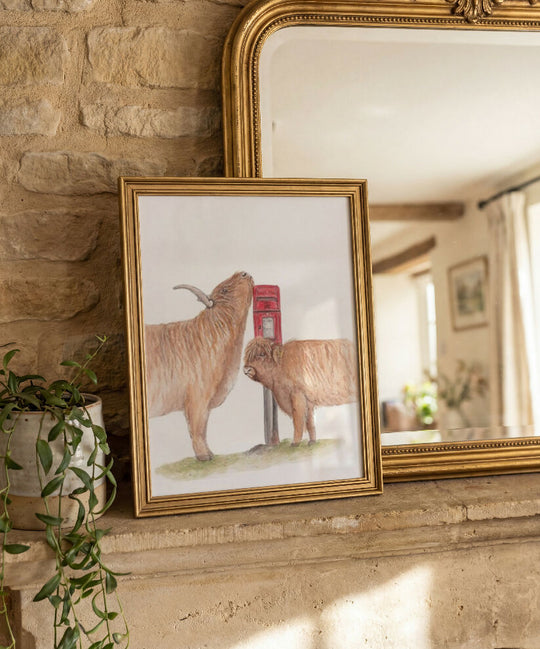 Highland Cow Postbox Print