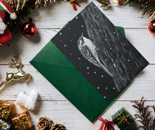 Treecreeper winter greetings card/Christmas card, A6 size, black and white
