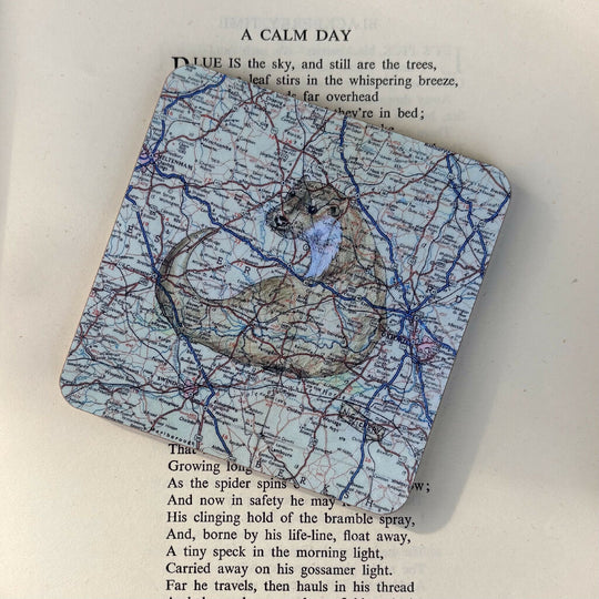 Otter Wooden Coaster