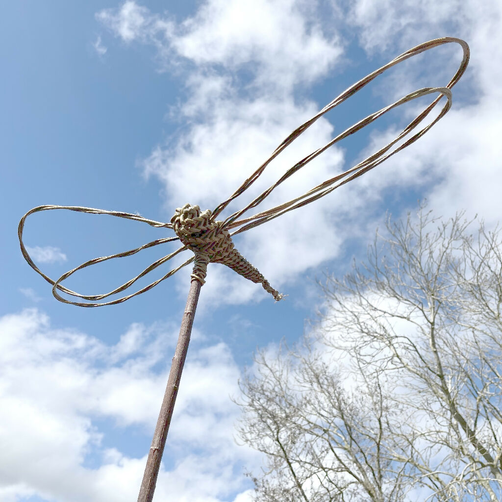 Willow Dragonfly Kit