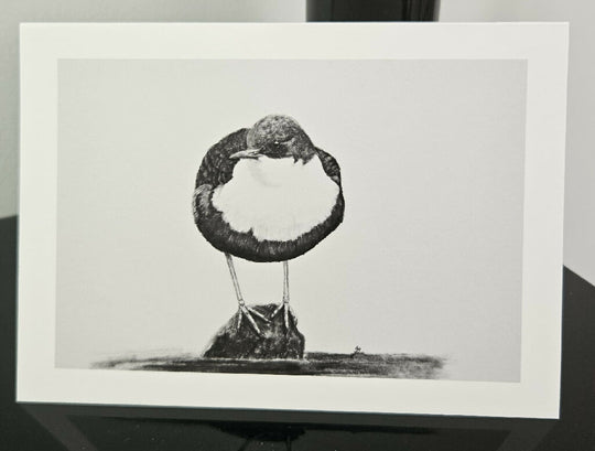 British dipper greetings card, A6 size, black and white