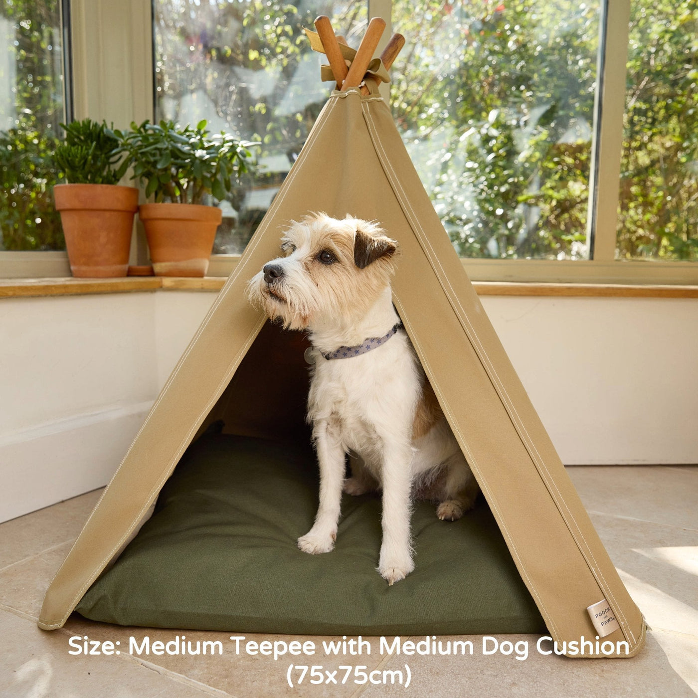 Dog bed. Dog teepee bed in light sand with Jack Russel