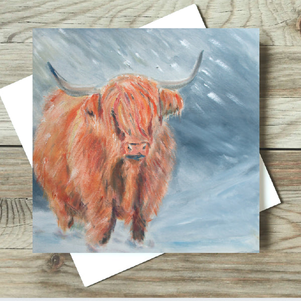 Highland Cow blank card