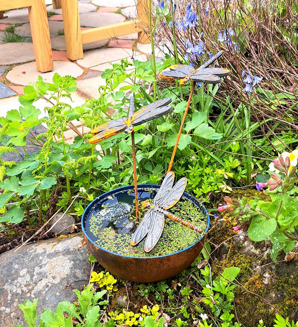 Dragonfly Water Bowl. Hand- forged Mini Wildlife Pond. Sculpture for Wildlife Gardens