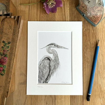 Heron Art Print Size 6" x 8" ~ Choice of 2 Designs