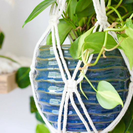 Natural Macrame Plant Hanger