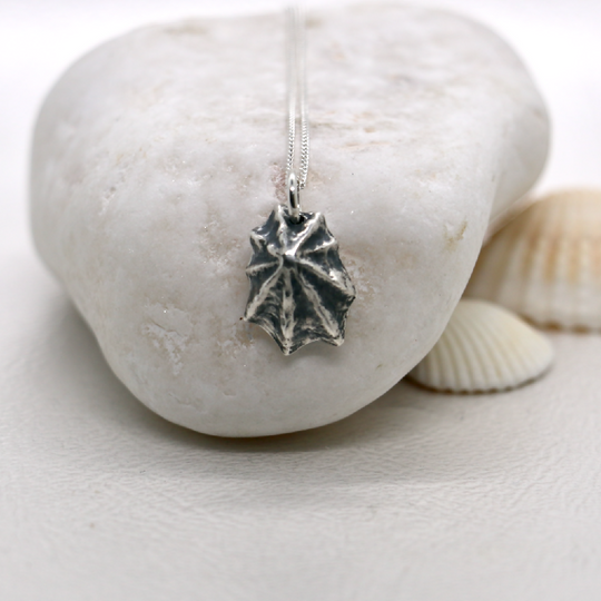 Silver Limpet Shell Necklace