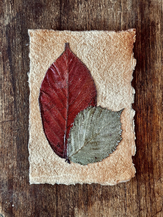 Vintage Style Autumn Themed Natural Preserved Leaf Collage Decor